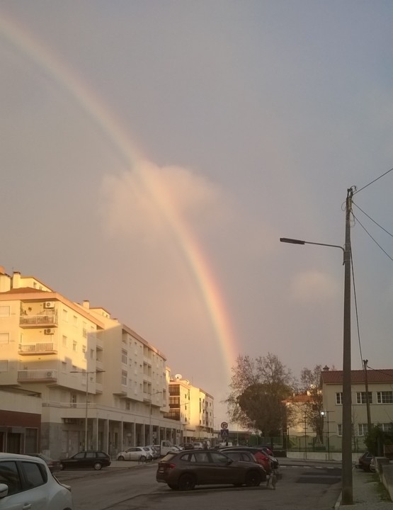 WP_20220105_002.jpg