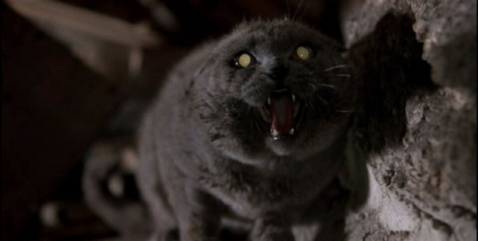 pet-sematary_592x299-7.jpg
